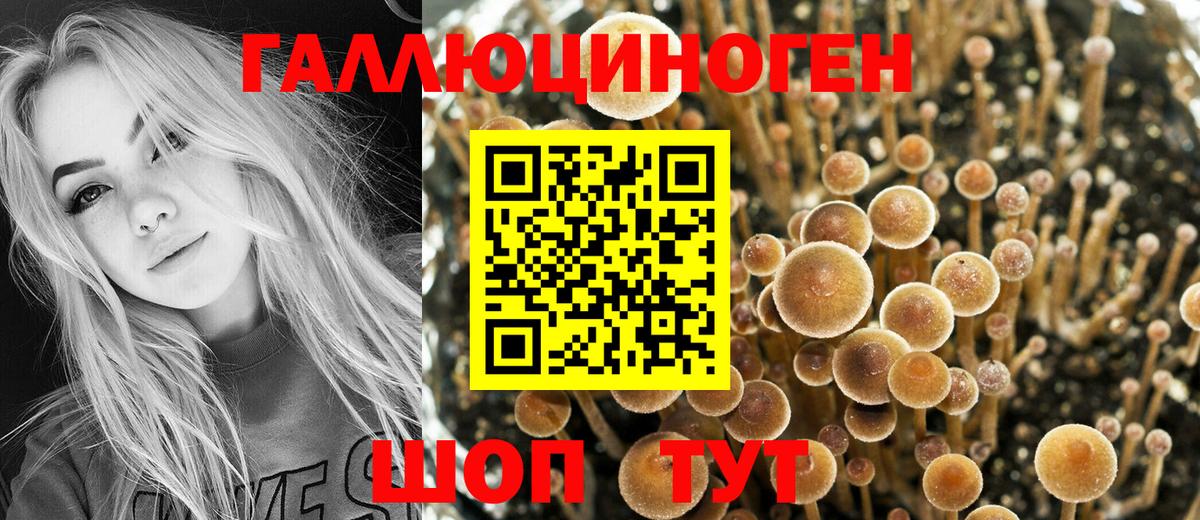 Псилоцибиновые грибы ЛСД  Псилоцибиновые грибы Psilocybe  Алейск  Вход с VPN 